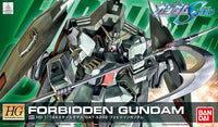 bandai 高達模型 HG forbidden gundam